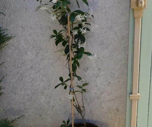 Les Hauts De بيت للعطل